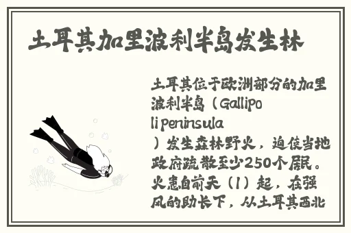 国产一卡二卡四卡国